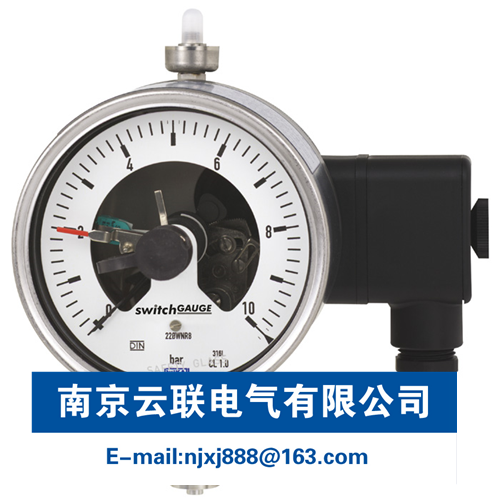WIKA PGS23.100, PGS23.160 帶開關電接點的波登管壓力表 